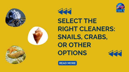 Select the Right Cleaners: Snails, Crabs, or Other Options