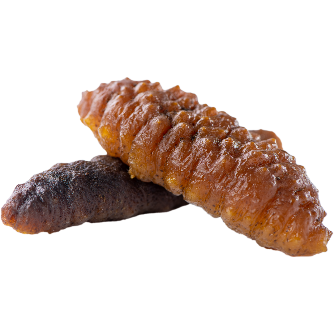 Get Sea Cucumber