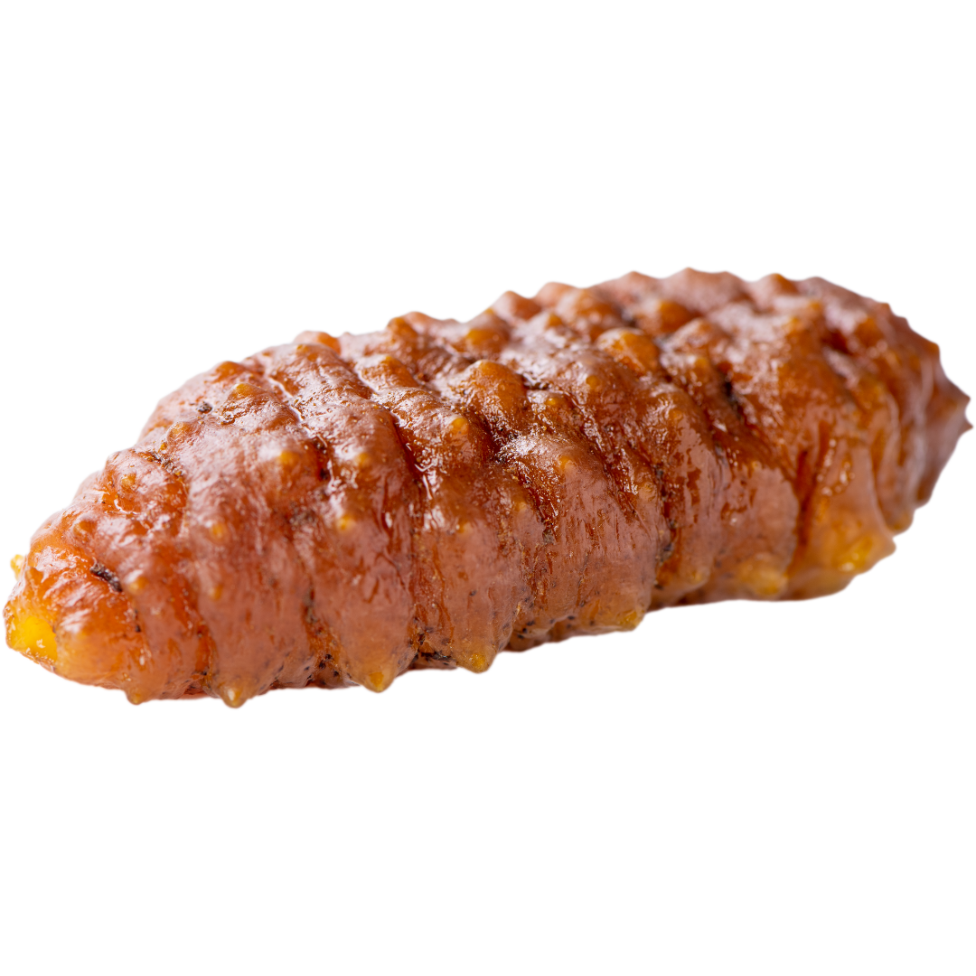 Buy Sea Cucumber