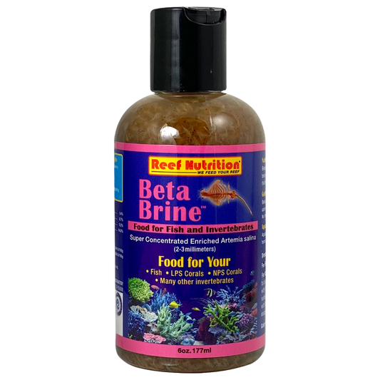 BETA-BRINE™ (6oz.) - Reef Nutrition