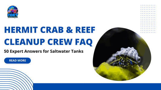Hermit Crab & Reef Cleanup Crew FAQ: 50 Expert Answers for Saltwater Tanks