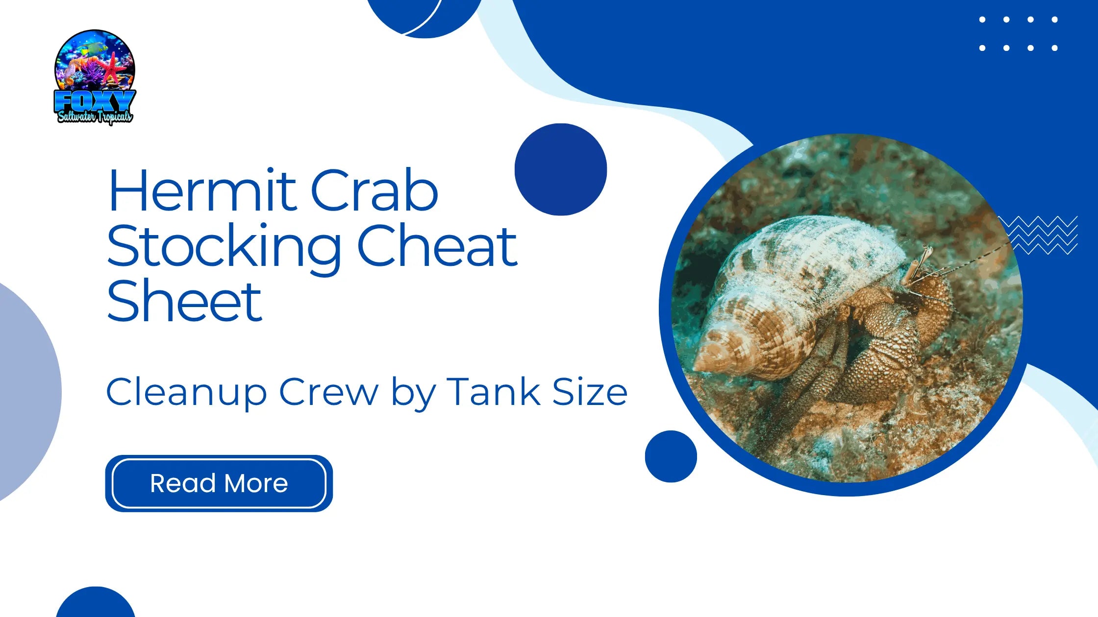 Photo inspiration: Saltwater Reef Tank Stocking Guide Reference: Hermit Crab Stocking Cheat Sheet Cleanup Crew By Tank Size