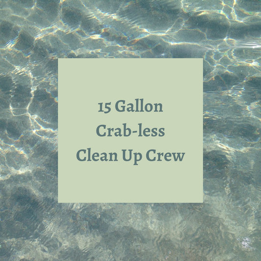 Crab-less Clean Up Crew 15 Gallon Tank - A Reef Safe Package