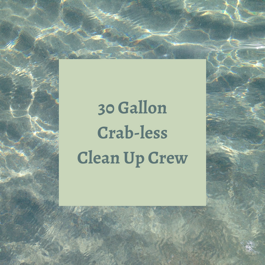 Crab-less Clean Up Crew 30 Gallon Tanks