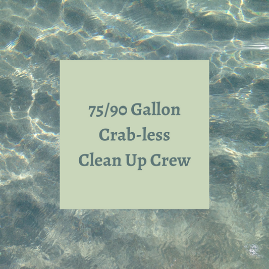 Crab-less Clean Up Crew 75-90 Gallon Tanks.  All reef safe.