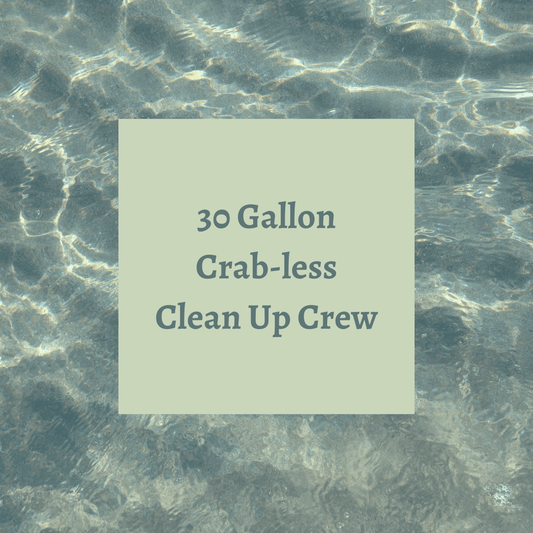 Crab-less Clean Up Crew 30 Gallon Tanks
