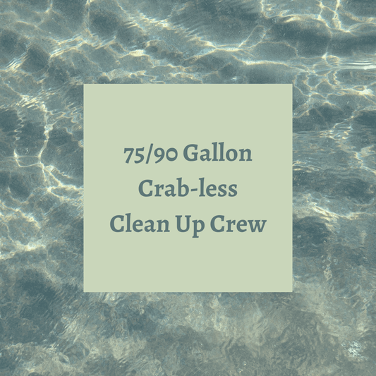 Crab-less Clean Up Crew 75-90 Gallon Tanks. All reef safe
