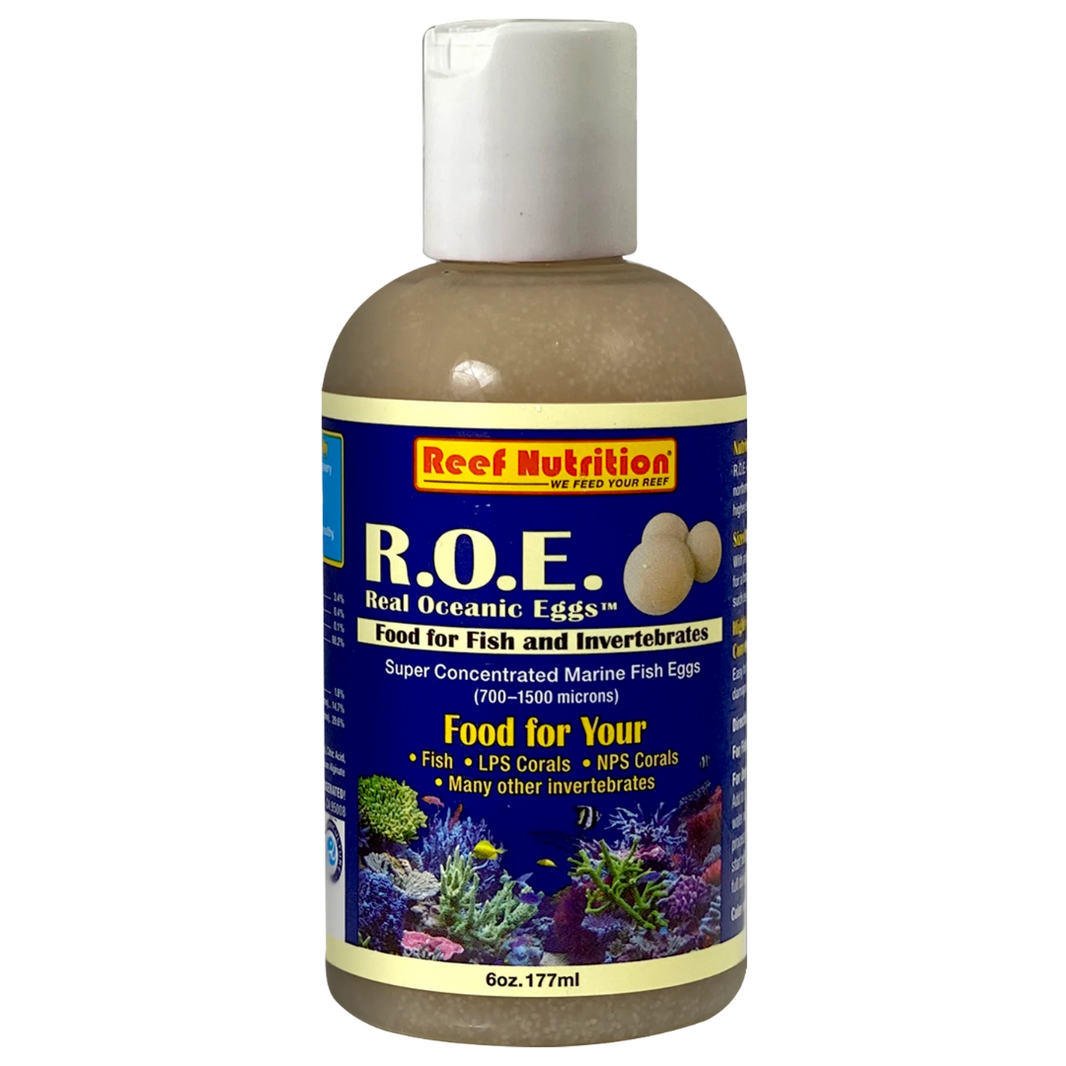 Buy The Best Saltwater Fish Food Online Saltwater Fish Food For Sale