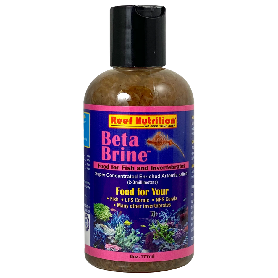 Buy The Best Saltwater Fish Food Online Saltwater Fish Food For Sale