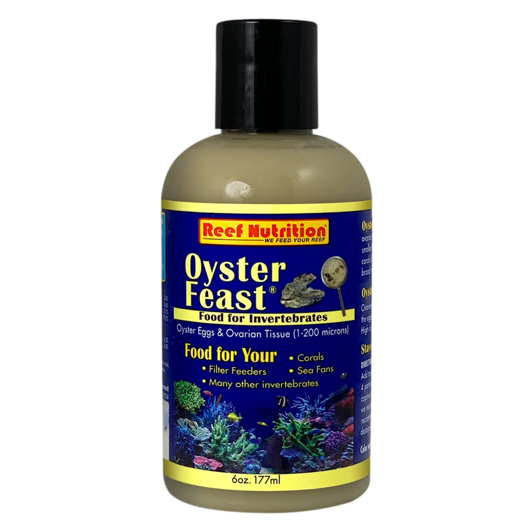 Buy The Best Saltwater Fish Food Online Saltwater Fish Food For Sale